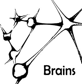 Proyecto Brains